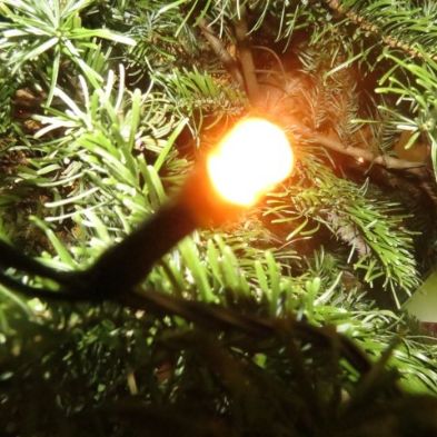 tsa_PhotoClubWk13 (7)